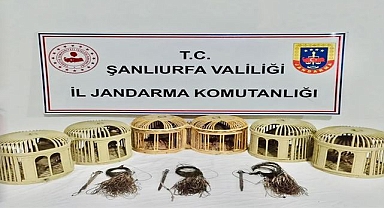 Şanlıurfa’da Kaçak Avcılık Çökertildi! Tuzağa Düşenler Gözaltında