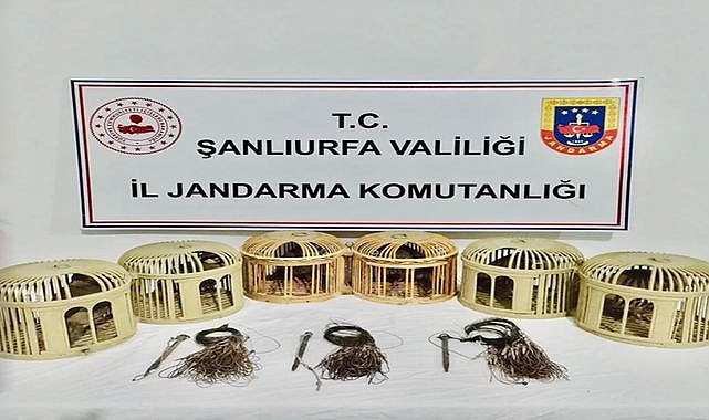 Şanlıurfa’da Kaçak Avcılık Çökertildi! Tuzağa Düşenler Gözaltında
