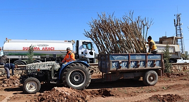 Şanlıurfa’da Yeşil Seferberlik Yukarıgöklü Kent Parkı Yeniden Canlanıyor