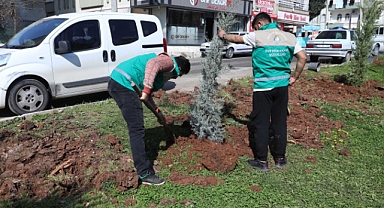 Belediye Başkanı Mehmet Canpolat’tan Yeşil Alanlara Büyük Yatırım
