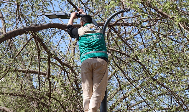 Belediye Başkanı Mehmet Canpolat’tan Yeşil Alanlara Büyük Yatırım