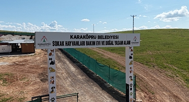 Karaköprü Belediyesi, Sokak Hayvanları İçin Yeni Bir Yaşam Alanı Kuruyor