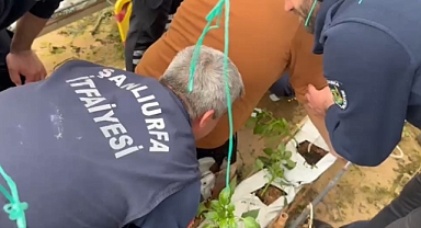 Şanlıurfa’da Serada Feci Kaza Genç İşçi Demirin Altında Kaldı!