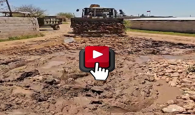 Viranşehir Belediyesi Sınıfta Kaldı! Mahalleli Çözümü Kendi Üretti